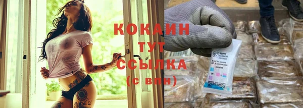трава Белокуриха