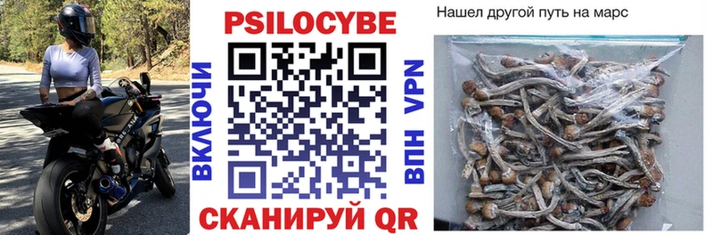Псилоцибиновые грибы Cubensis Малоярославец