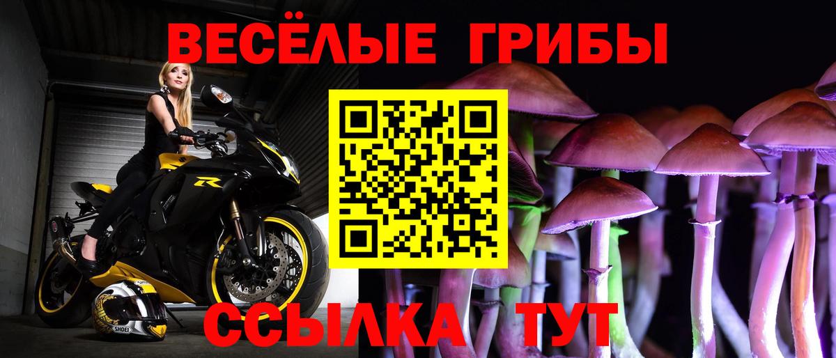Галлюциногенные грибы прущие грибы Малоярославец